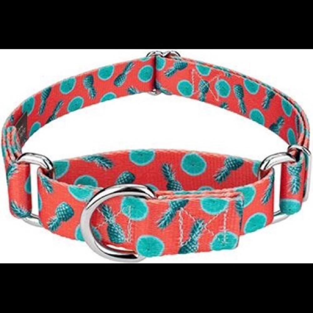 Martingale Pineapple Collar